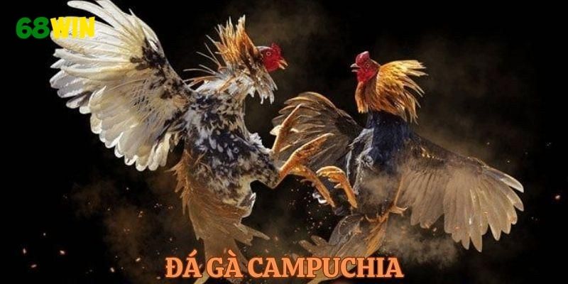 Hiểu rõ cách theo dõi trận đấu giúp đặt cược chính xác
