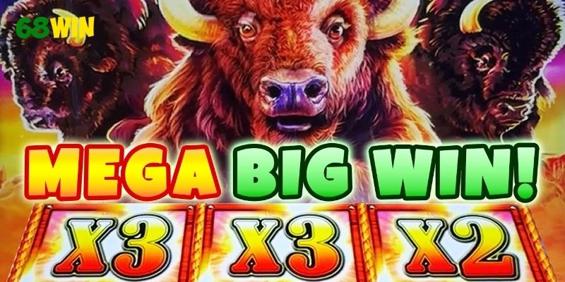 Tổng quan về Buffalo King Hold and Win