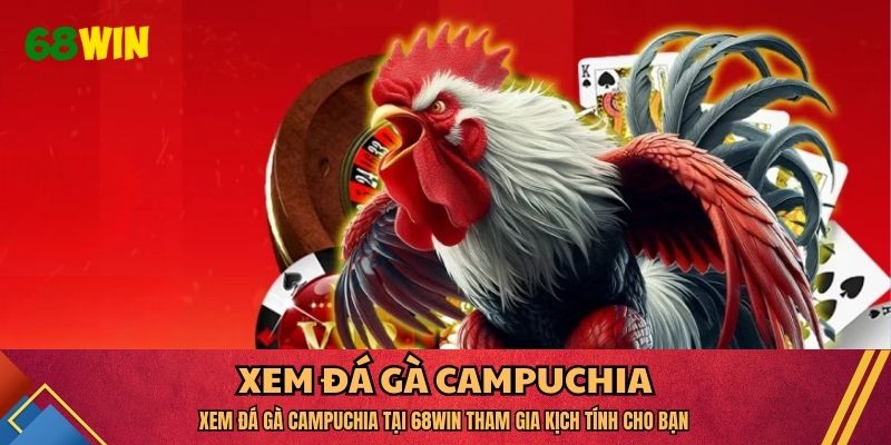 xem đá gà Campuchia